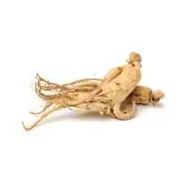 Ginseng Korea 200 X 200